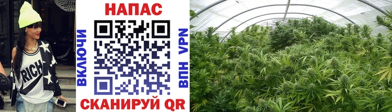 Купить Динская APVP  kraken   Меф  АМФЕТАМИН  Гашиш  Канабис 