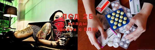 mdpv Алзамай