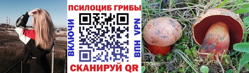 Галлюциногенные грибы мицелий  купить наркотики сайты  Динская 